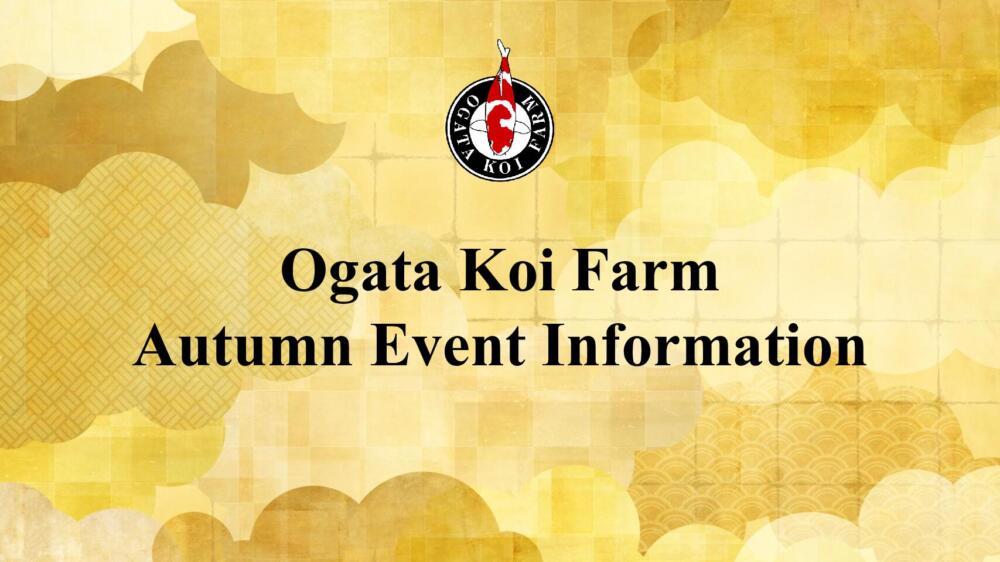 We decided date for Autumn event in 2025